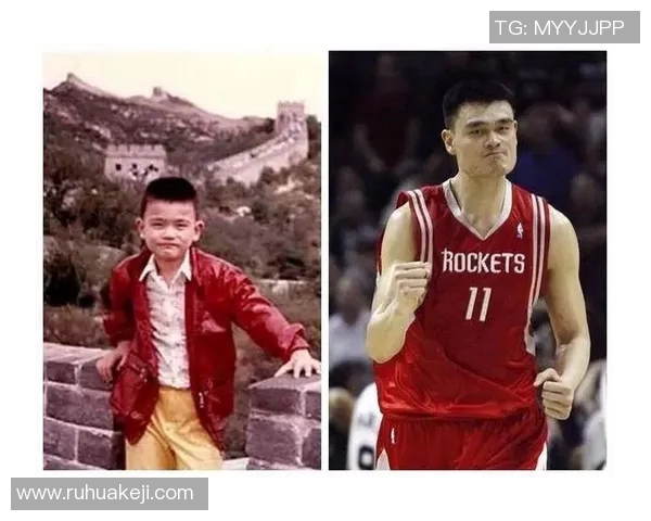 2014年姚明季后赛精彩回顾与传奇时刻的深度解析 2014年姚明季后赛精彩回顾与传奇时刻的深度解析