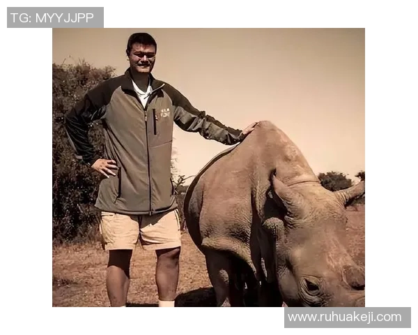 姚明身高250厘米的传奇人生与篮球梦想的追逐之路 姚明身高250厘米的传奇人生与篮球梦想的追逐之路