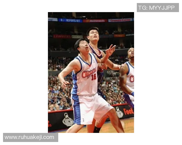 姚明与杜风的传奇篮球之路：从青涩少年到国际巨星的成长故事