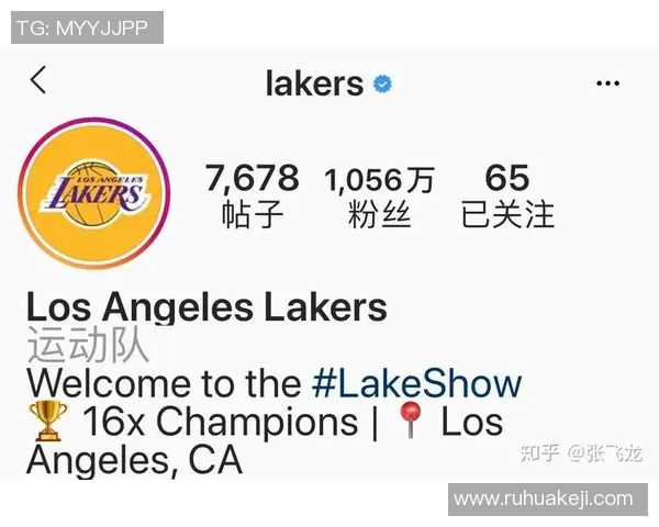 全球足球明星数量揭秘及其影响力分析