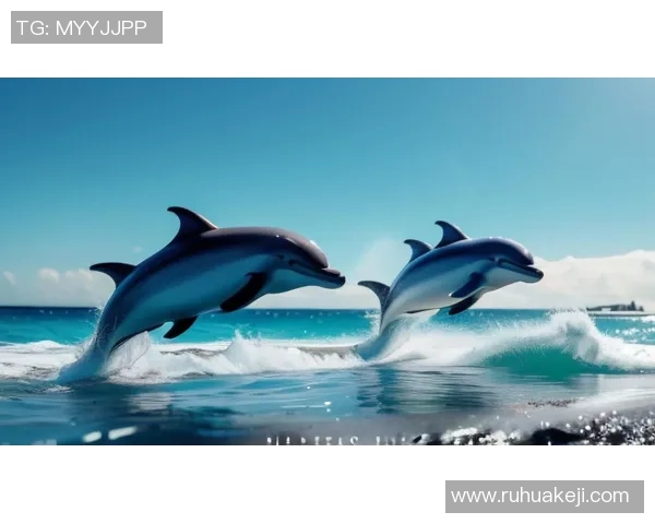 篮球明星驾豪华游艇畅游海洋展现运动与奢华生活的完美结合